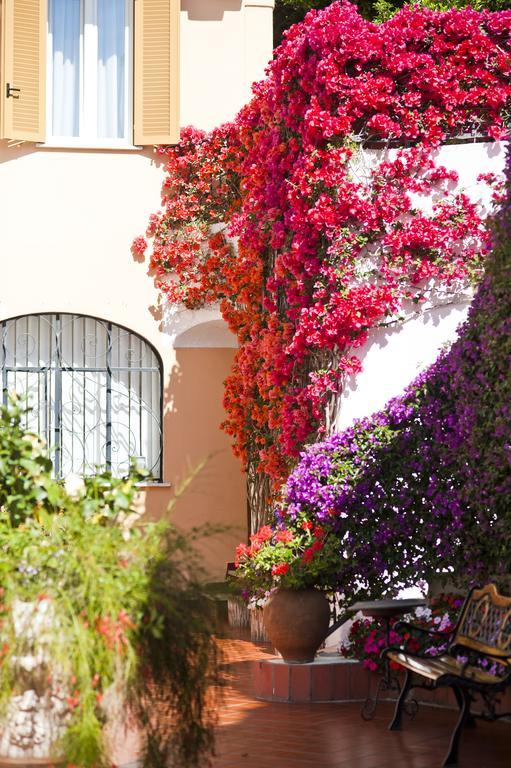 Hotel Casa Di Meglio 이스키아 외부 사진